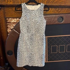 J Crew Dress